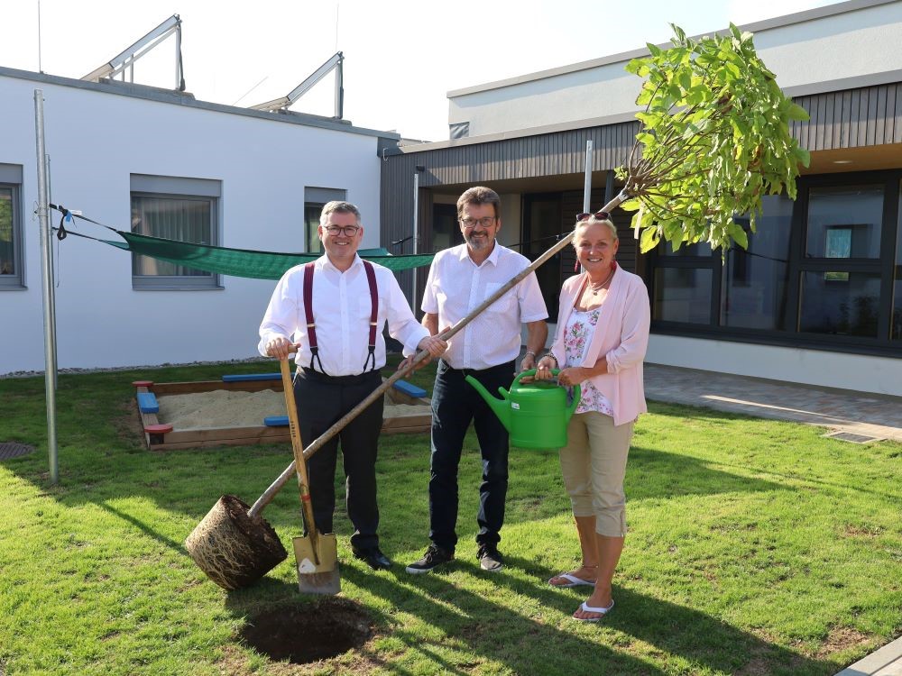 LR DI Ludwig Schleritzko, Bürgermeister Gerhard Lentschig, StR Maria van Dyck  Foto: Stadtgemeinde Horn