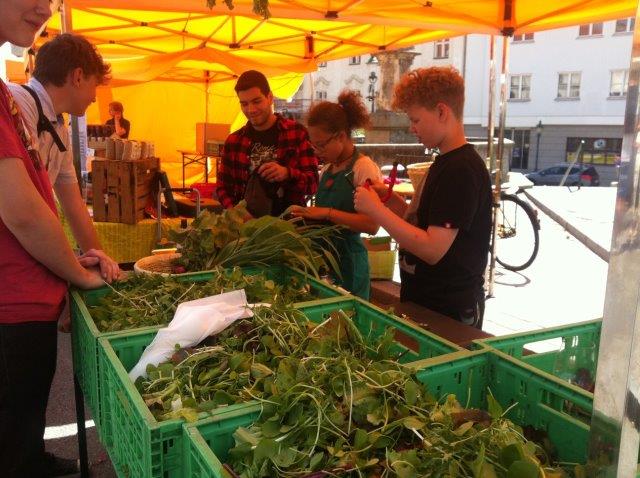 Regionalmarkt Horn