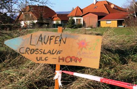 Horner Crosslauf 