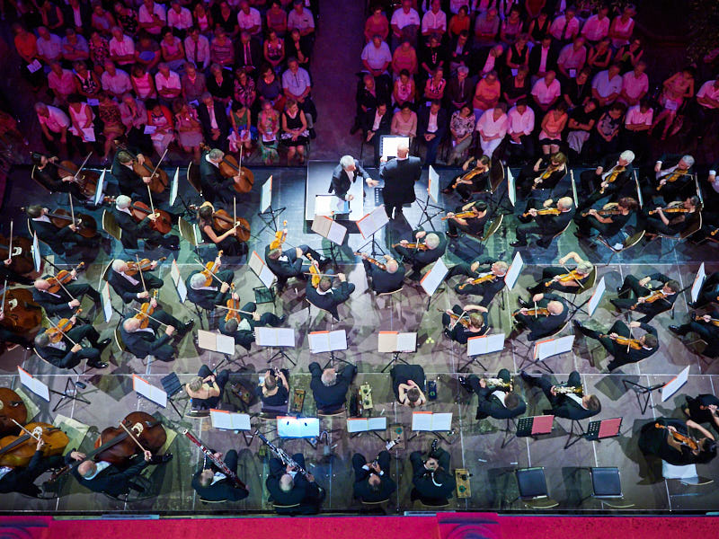 Allegro Vivo. Ein Sommernachtstraum